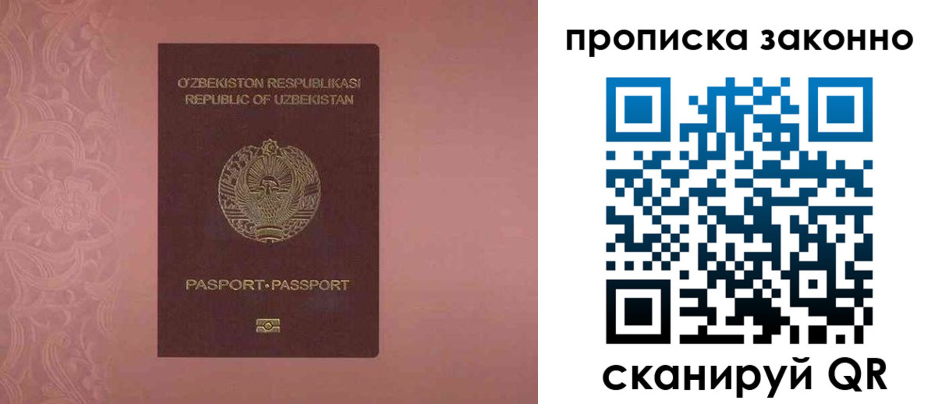 прописка от собственника в Шлиссельбурге